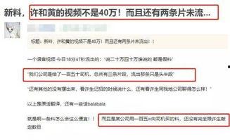 没有视频该如何爆料别人,揭秘真相背后的疑云